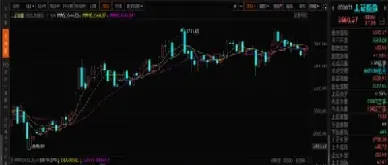 度日指数期权(股票日度数据)_https://hz.meihuadianqi.com_恒指直播_第1张