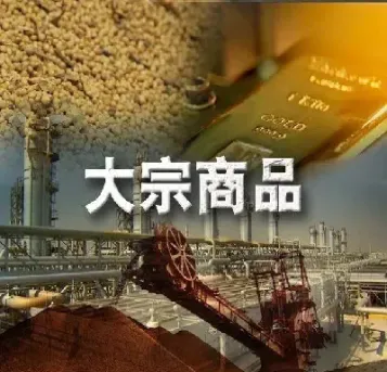 原油大宗商品哪里买(大宗商品原油怎么买)_https://hz.meihuadianqi.com_恒指行情_第1张