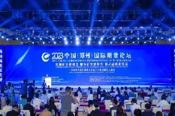 中国国际期货期权网(2019年中国期货期权市场)_https://hz.meihuadianqi.com_恒指行情_第1张