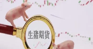 生猪期货跌停板几点(生猪期货跌停板几点可以买入)_https://hz.meihuadianqi.com_恒指行情_第1张