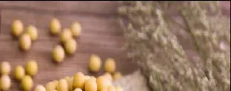 华夏饲料豆粕期货是什么(华夏饲料豆粕期货是什么基金)_https://hz.meihuadianqi.com_恒指分析_第1张