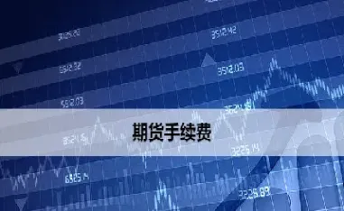 中期期货手续费(中期期货手续费过高)_https://hz.meihuadianqi.com_恒指直播_第1张