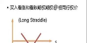 股指仿真期权(股指仿真期权计算公式)_https://hz.meihuadianqi.com_恒指期货_第1张