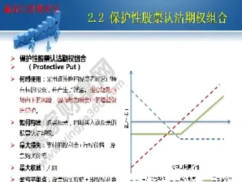 股票期权报价界面图解(股票期权报价界面图解大全)_https://hz.meihuadianqi.com_恒指直播_第1张