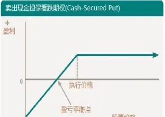 看跌期权权利义务(看跌期权的价值)_https://hz.meihuadianqi.com_恒指直播_第1张