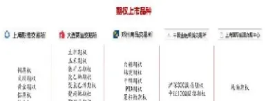 期权不同权限(期权不同权限怎么交易)_https://hz.meihuadianqi.com_恒指期货_第1张