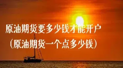 买一手原油翻倍要上涨多少(买一手原油多少手续费多少)_https://hz.meihuadianqi.com_恒指直播_第1张