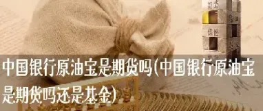 原油宝怎么还款(原油宝还钱了吗)_https://hz.meihuadianqi.com_恒指期货_第1张
