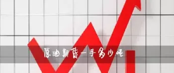 国内原油期货一手多少升(国内原油期货一手是多少吨)_https://hz.meihuadianqi.com_恒指期货_第1张