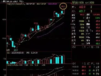中美原油期货市场对比(中美原油期货市场对比图)_https://hz.meihuadianqi.com_恒指期货_第1张