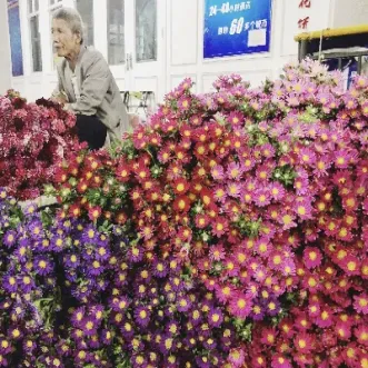鲜花 期货(鲜花期货)_https://hz.meihuadianqi.com_恒指分析_第1张