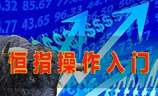 我是如何做恒指期货(怎么做恒指期货)_https://hz.meihuadianqi.com_恒指行情_第1张
