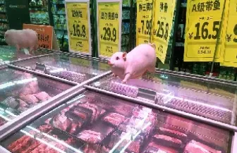 猪肉期货交易(猪肉期货交易走势)_https://hz.meihuadianqi.com_恒指行情_第1张