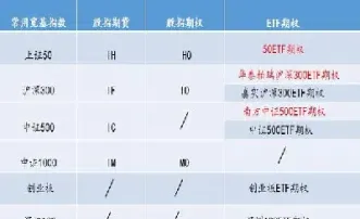 期权的交易术语(期权的交易术语有哪些)_https://hz.meihuadianqi.com_恒指期货_第1张