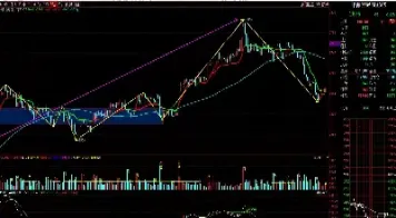 郑醇期货最新咨询(郑醇期货最新咨询消息)_https://hz.meihuadianqi.com_恒指直播_第1张