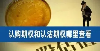 期货 认购(期货认购认沽是什么意思)_https://hz.meihuadianqi.com_恒指直播_第1张